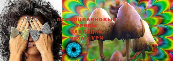 скорость Аркадак