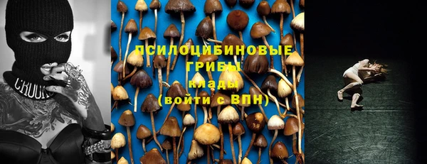 скорость Аркадак